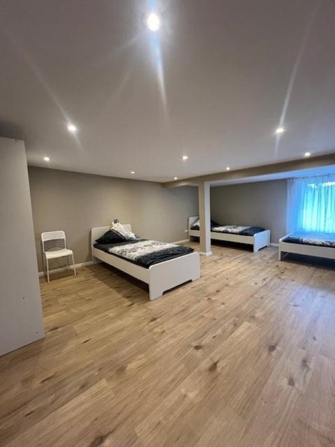 Serena Monteur Apartment Rodenbach  Kültér fotó